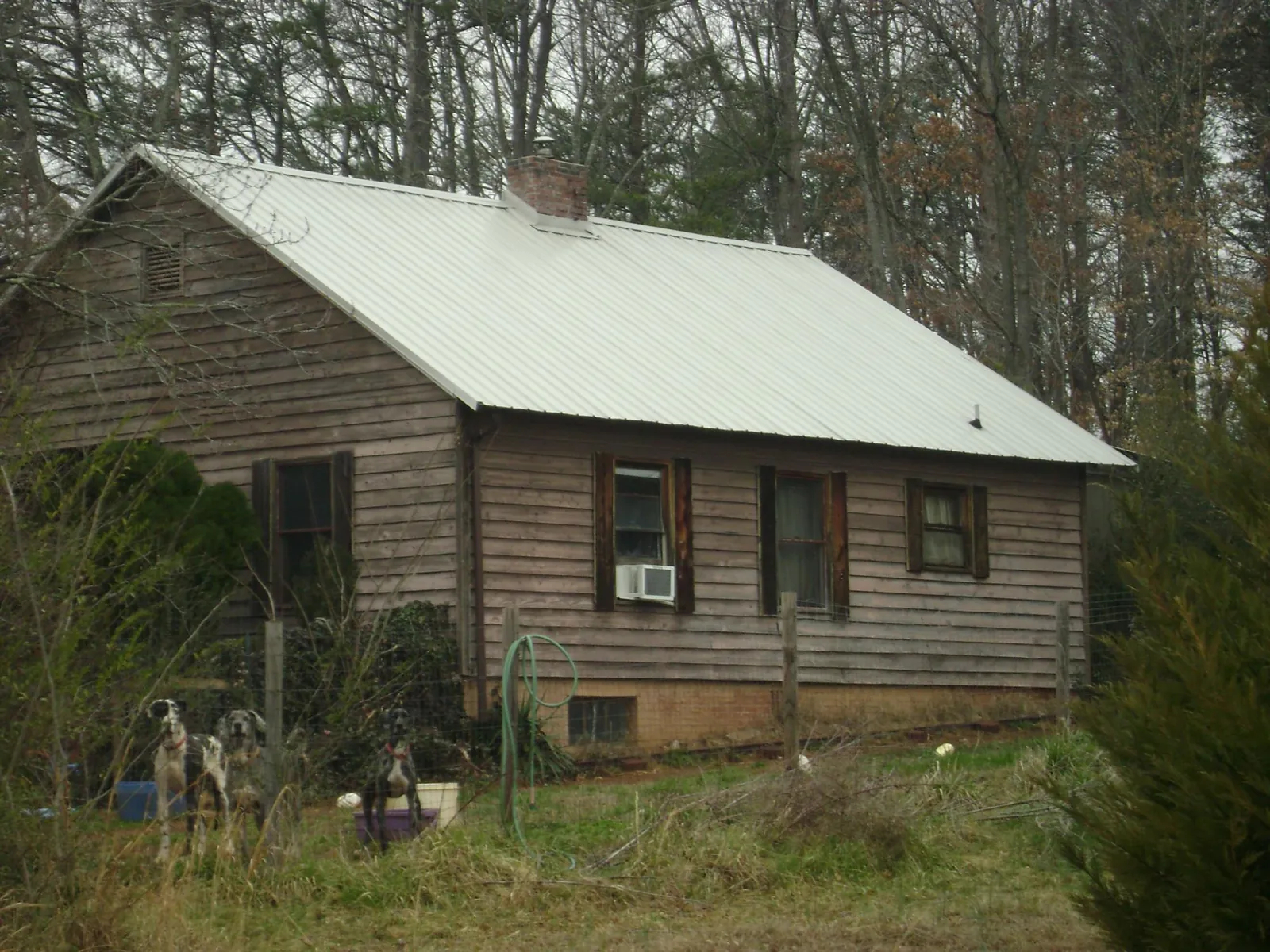 White metal roof on an old wood sided farmhouse, from a Asphalt Shingle Roof Repair job in Bleiblerville